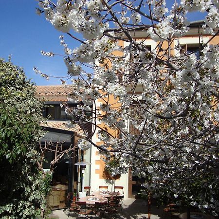 Hotel El Faixero Tradicional Cinctorres Εξωτερικό φωτογραφία