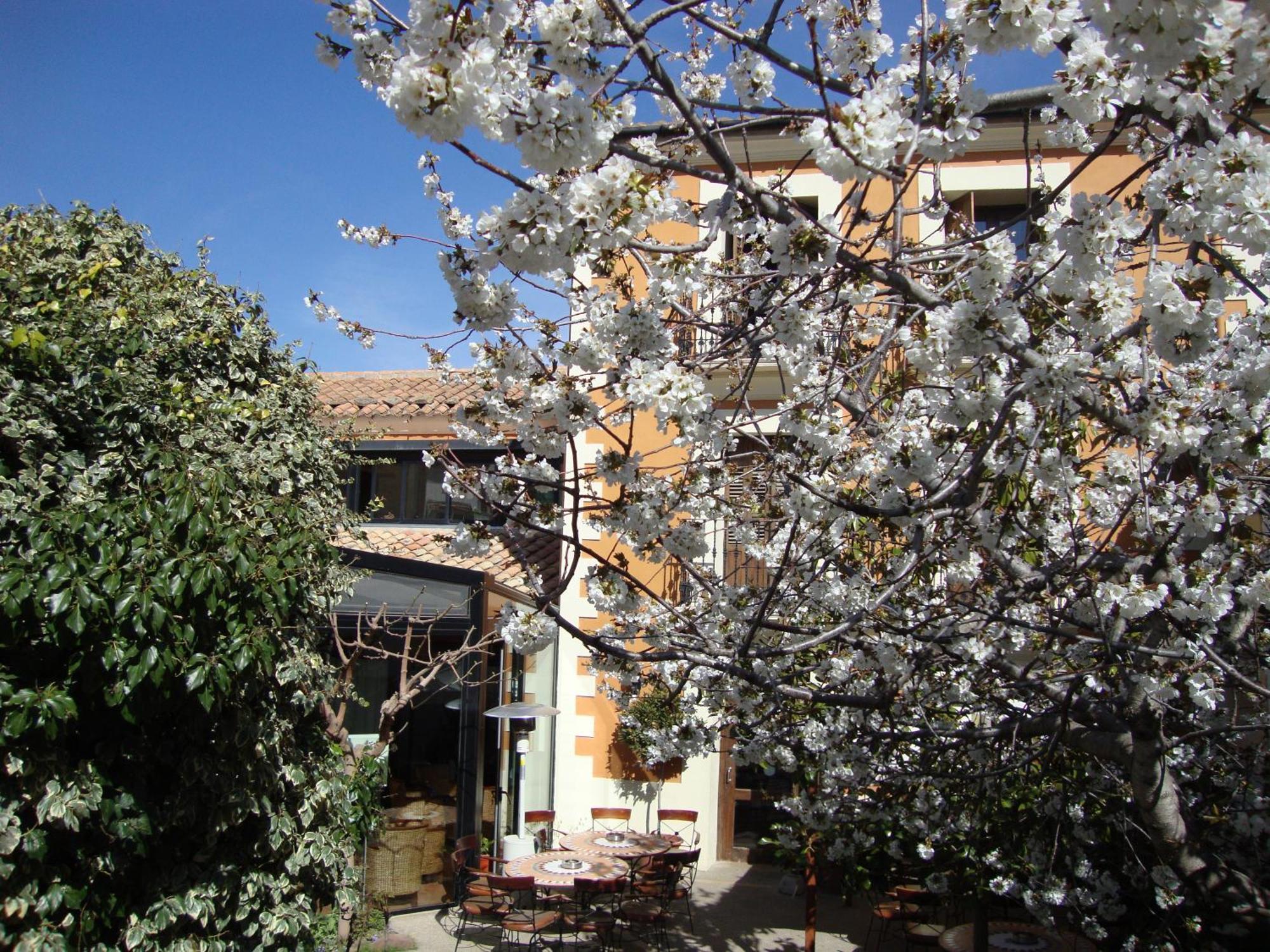 Hotel El Faixero Tradicional Cinctorres Εξωτερικό φωτογραφία